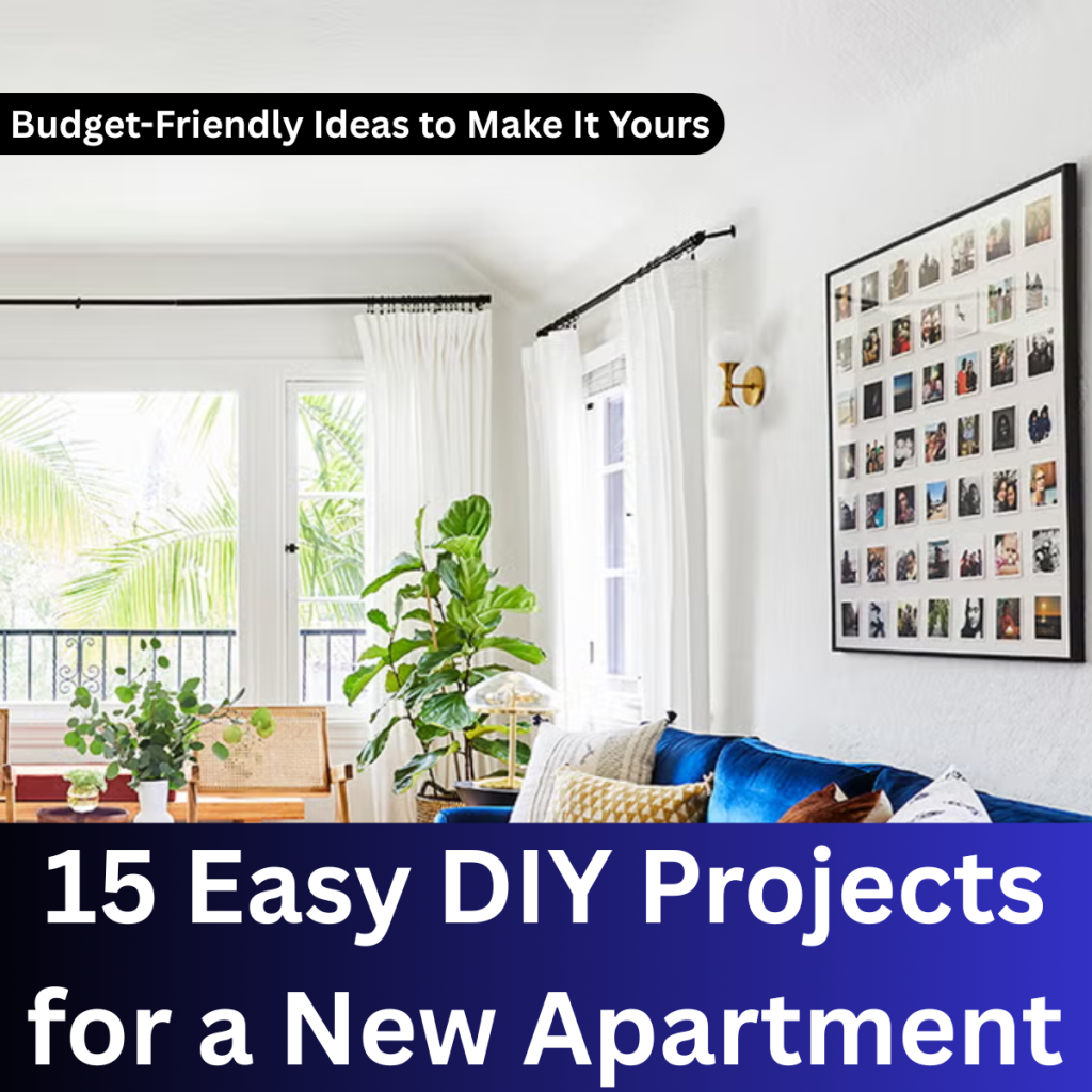 Budget-Friendly Ideas