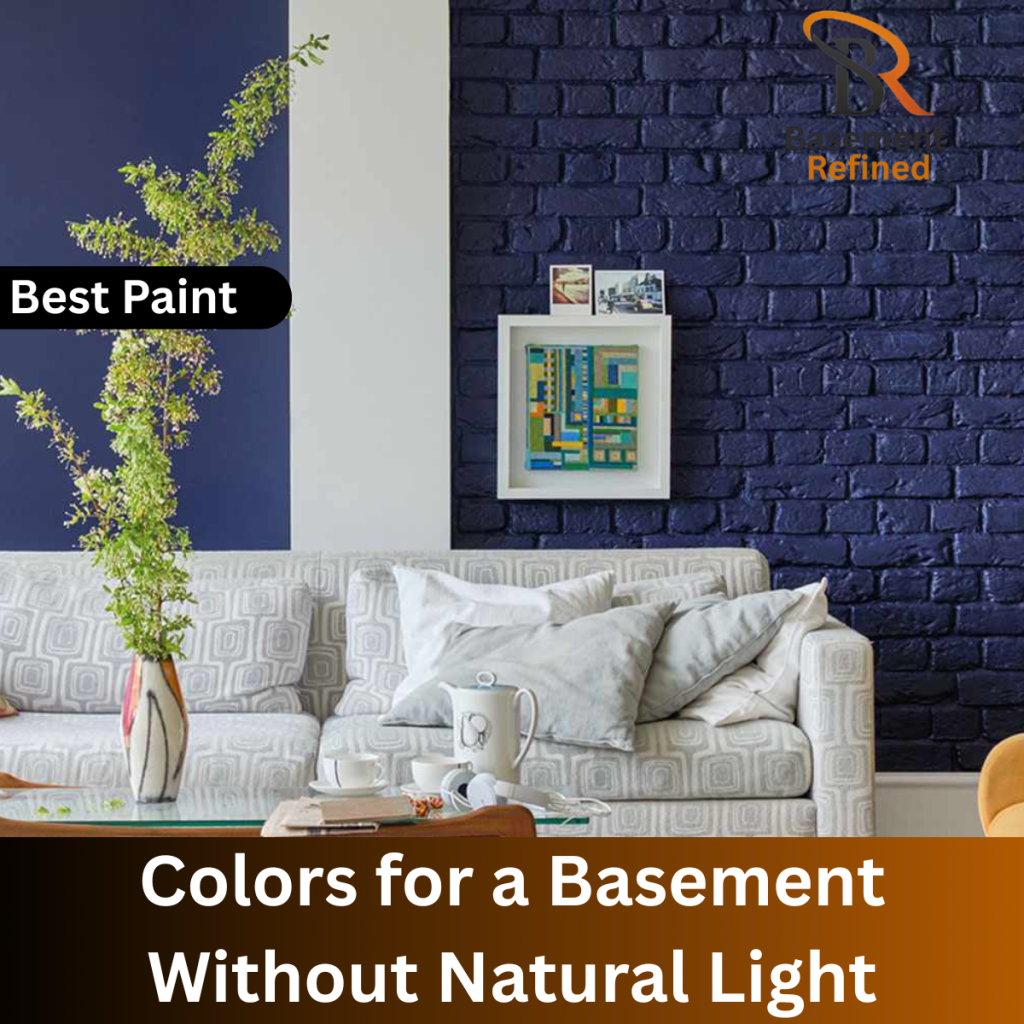 Basement Without Natural Light