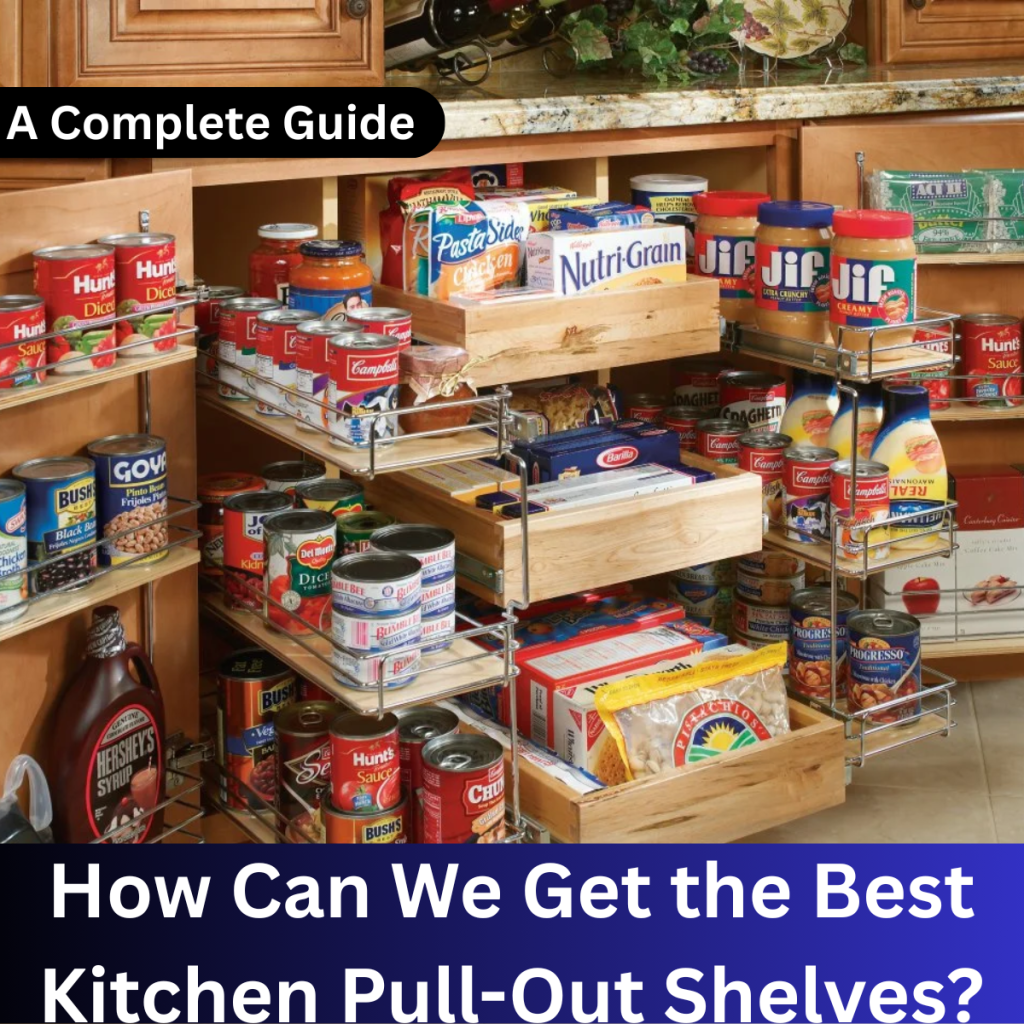 Best Kitchen Pull-Out Shelves