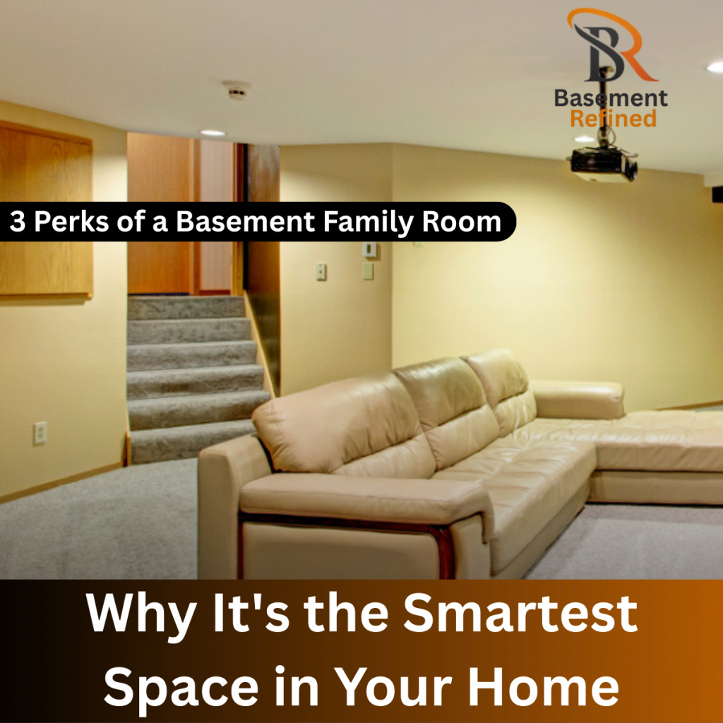 Basement Family Room