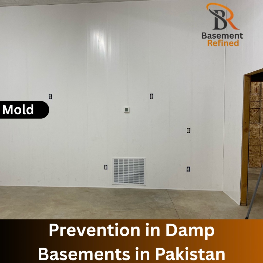 Mold Prevention in Damp