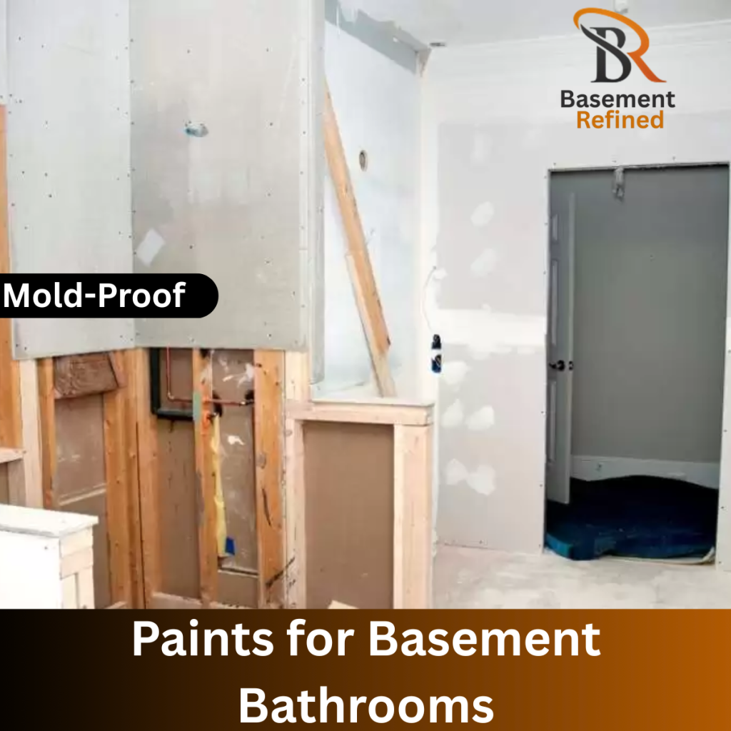 Paints for Basement Bathrooms