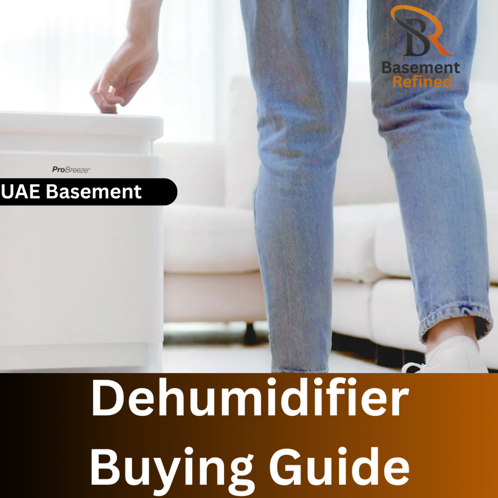Basement Dehumidifier