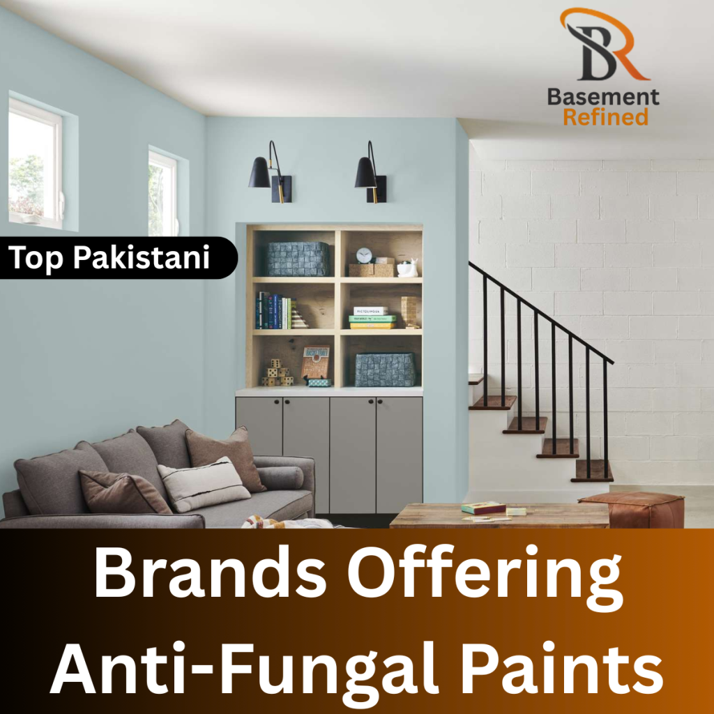 Anti-Fungal Paints