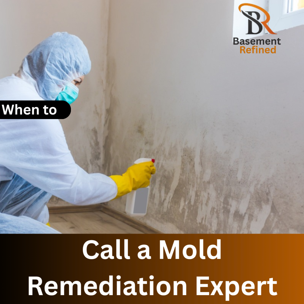 Call a Mold Remediation